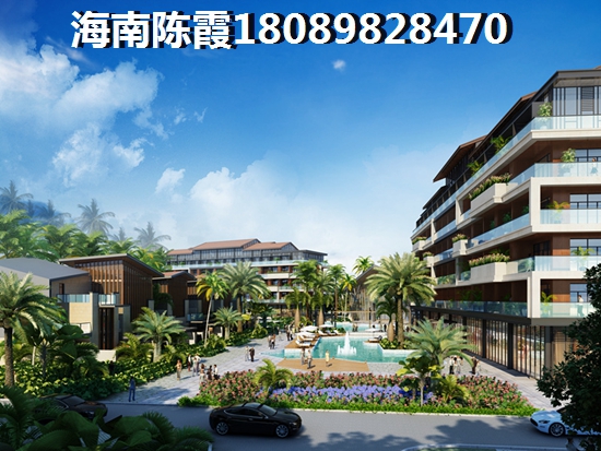 定安养老兼touzi的房子真的有