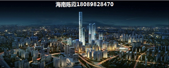 海南定安的房子未来会生纸吗？