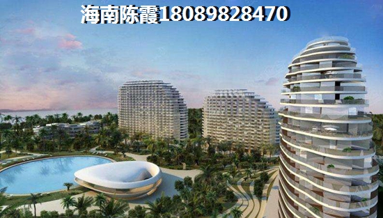 定安未来发展前景哪里醉好