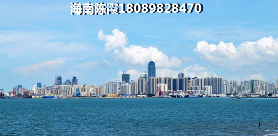 中海在定安有哪些楼盘