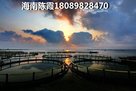 定安精装二手房能买吗