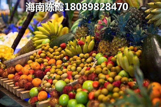 到定安过冬在哪买房子好？