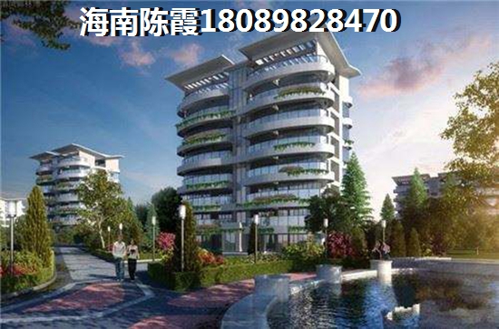>2024定安买房子解析