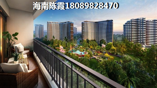 定安海南定安二手房60万左右！