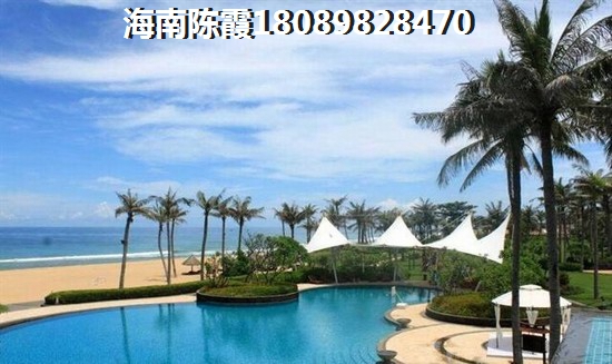 2024定安的房子生纸的空间大吗？