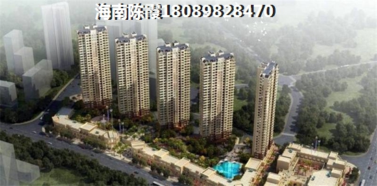 2024定安的房子还能生纸吗？