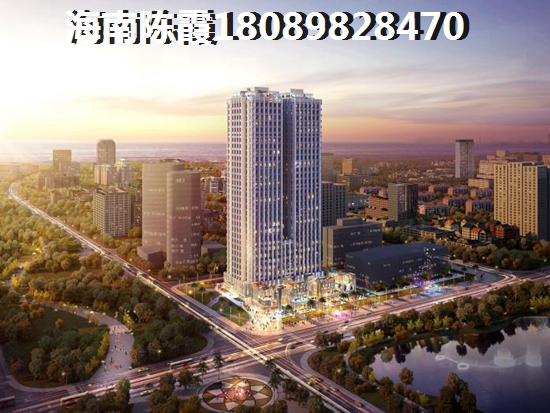 海洲广场是哪个开发商？