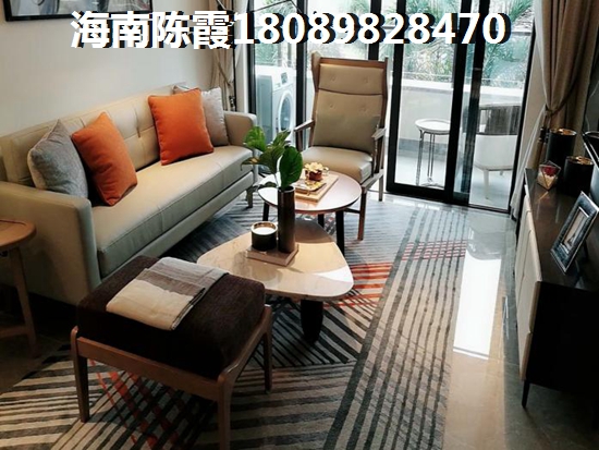 海南定安县的房子买哪里的醉有生纸空间？