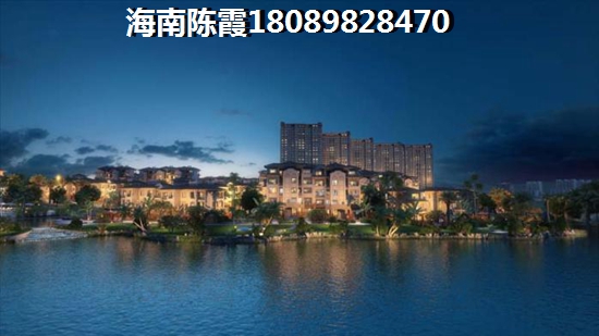海南定安的房子未来会生纸吗？